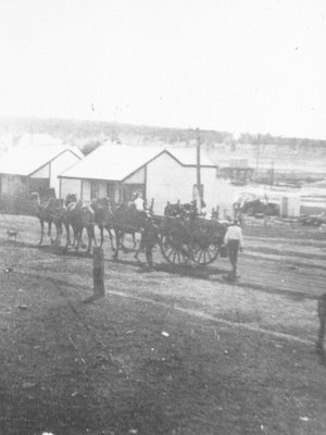 cover image of Mullewa Oral History Interviews Disc 2